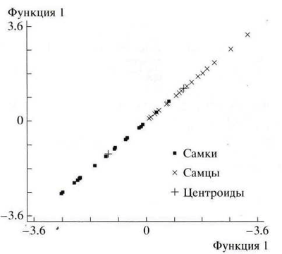 График дискриминантной функции распределения самок и самцов русского осетра Acipenser gueldenstaedtii