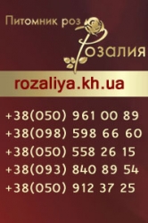 Автар пользователя rozaliya